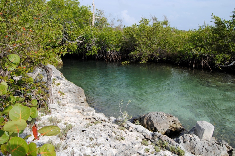 caguanes national park cuba