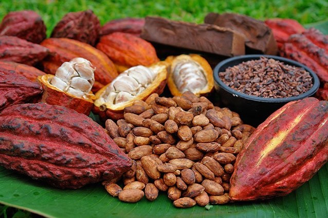 chocolate and cacao in cuba