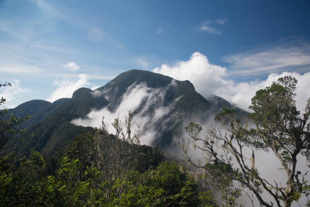 pico turquino views