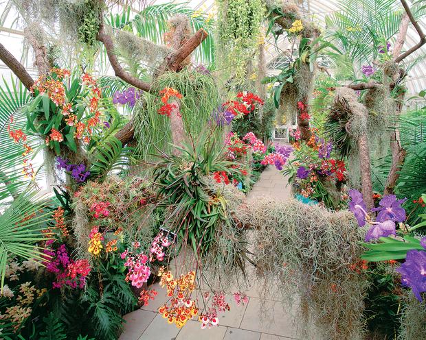 Soroa Orchid Garden