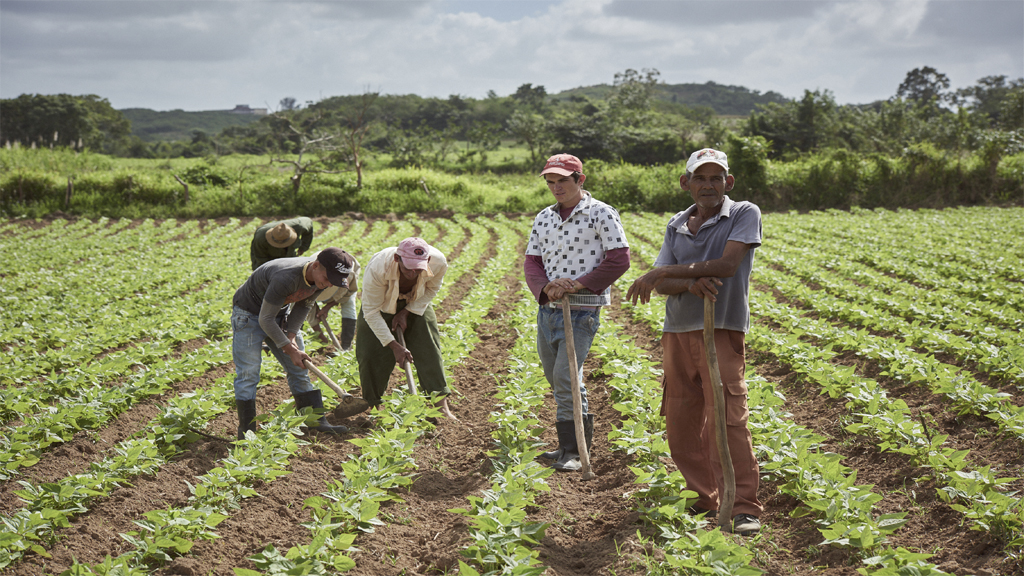Vinales, western cuba