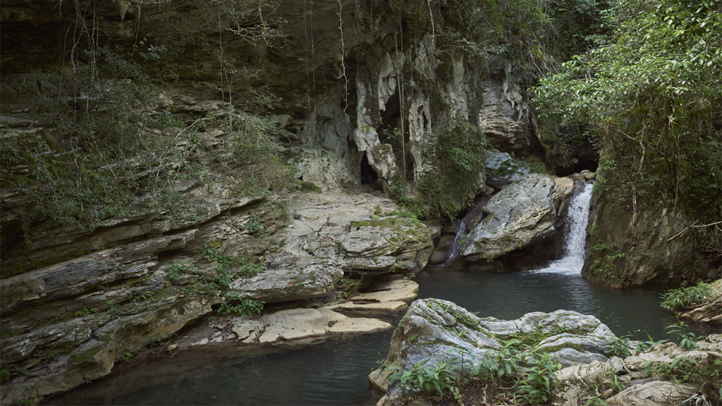 Topes de collantes