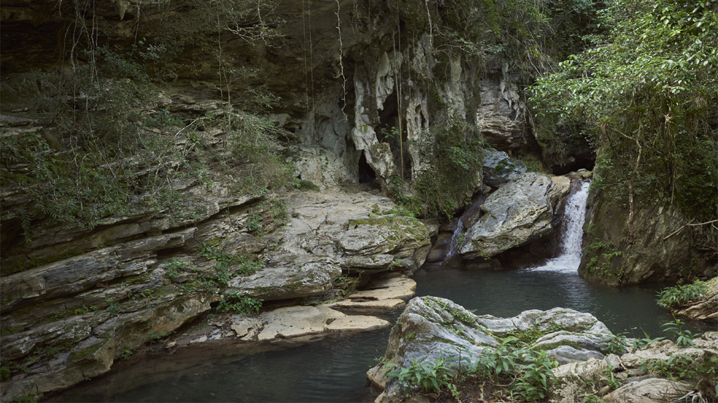 Topes de collantes