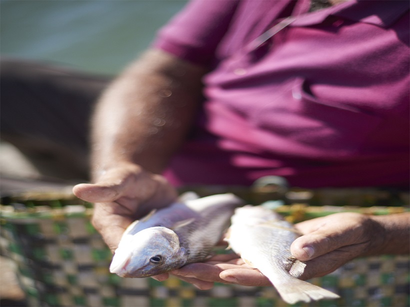 Cuban Fisherman