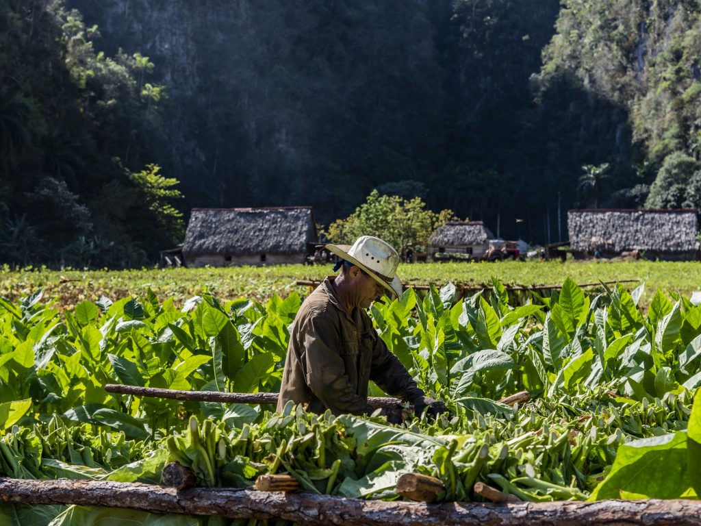 Viñales personalized high-end experience 